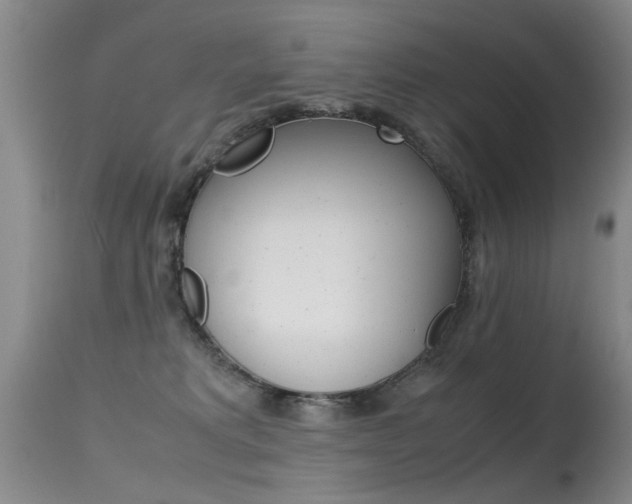 X0000115540229200911061157