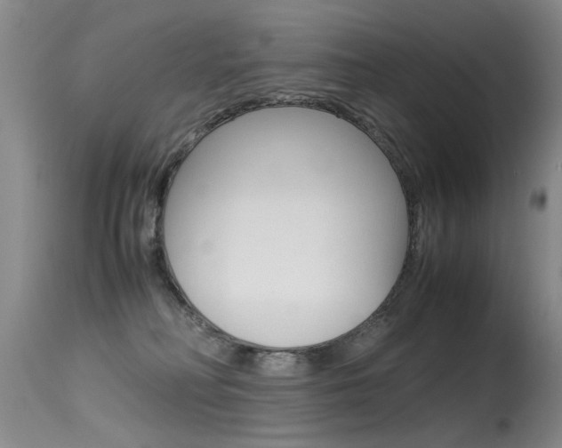 X0000115540230200911061157