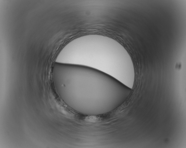 X0000115540231200911061157