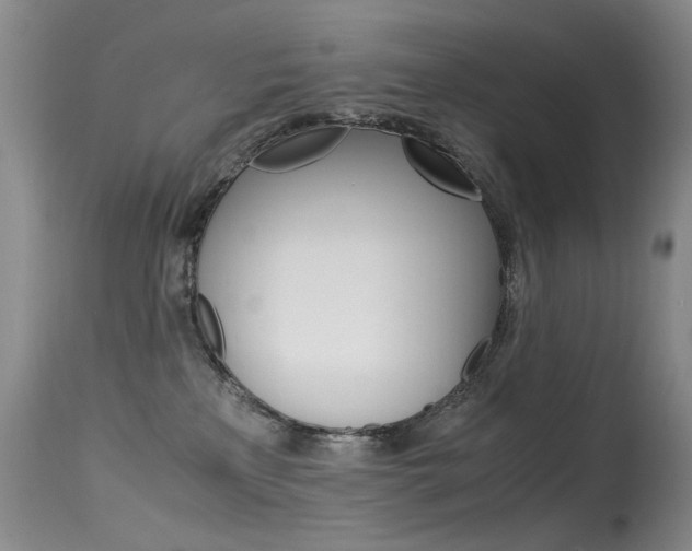 X0000115540233200911061157