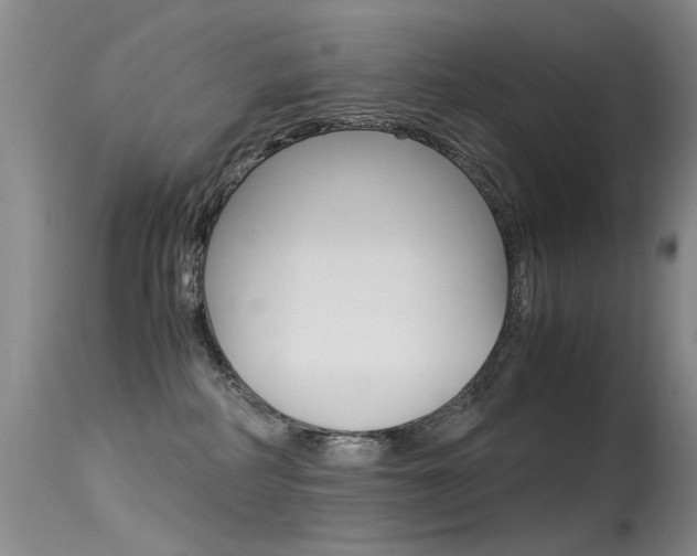 X0000115540234200911061157