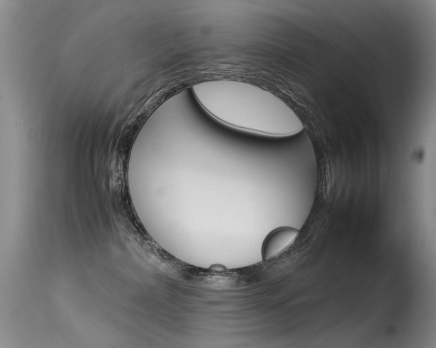 X0000115540236200911061157