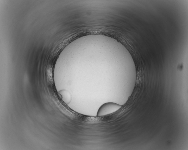 X0000115540238200911061157