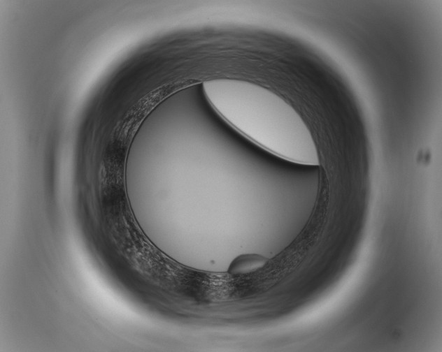 X0000115540239200911061157