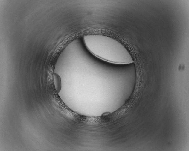 X0000115540240200911061157