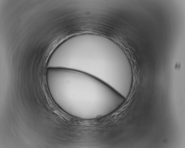 X0000115540241200911061156