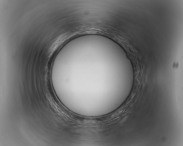 X0000115540242200911061156