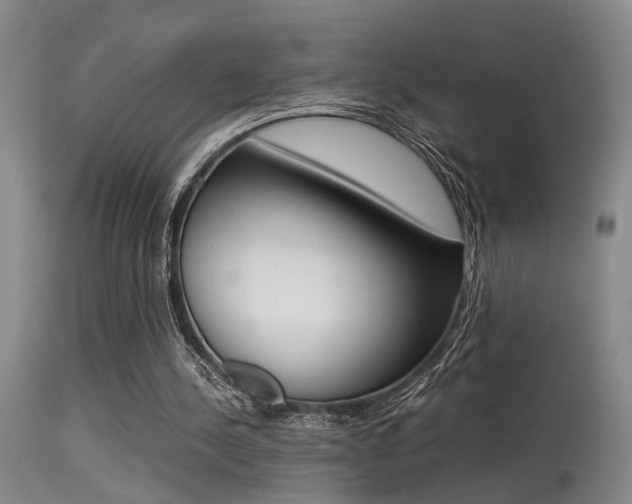 X0000115540244200911061156