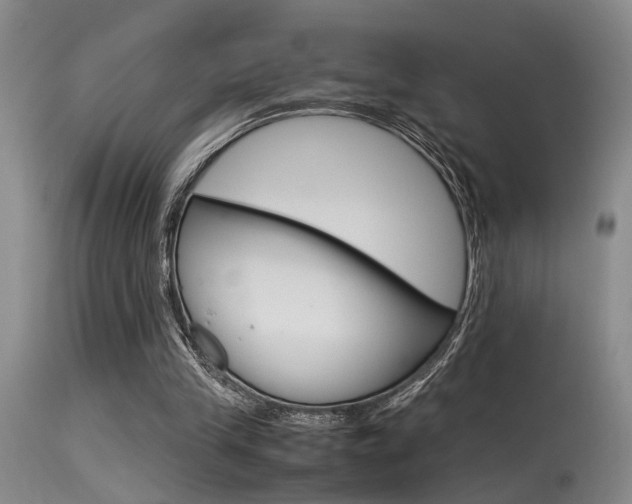 X0000115540245200911061156