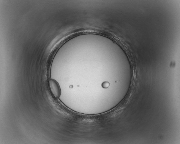 X0000115540247200911061156