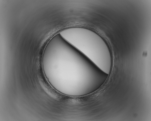 X0000115540250200911061157