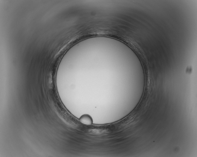 X0000115540251200911061157