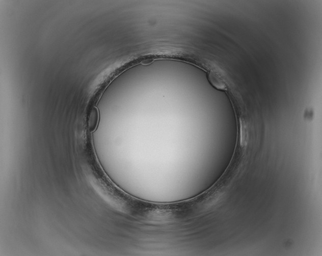 X0000115540252200911061157