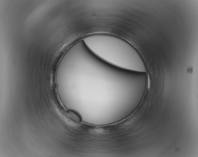 X0000115540253200911061157