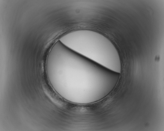 X0000115540254200911061157