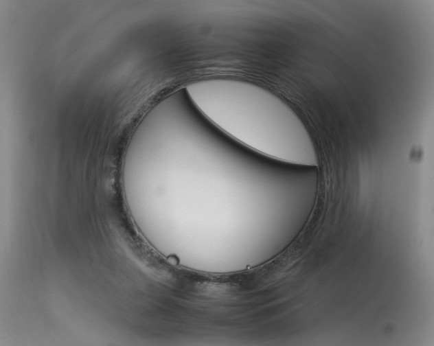 X0000115540255200911061157