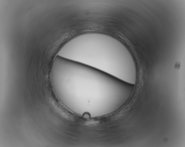 X0000115540257200911061157