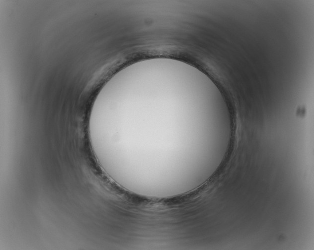 X0000115540258200911061157