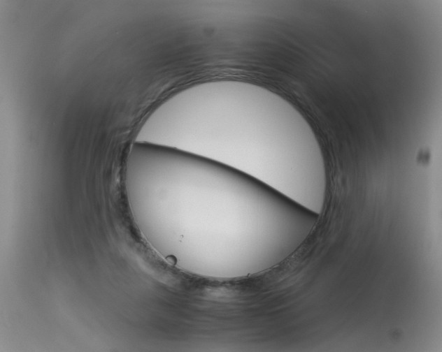 X0000115540259200911061157