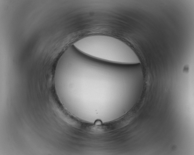 X0000115540261200911061157