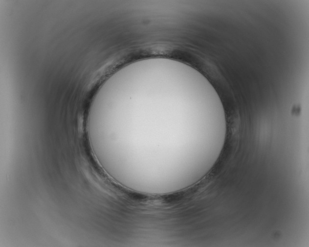 X0000115540262200911061157