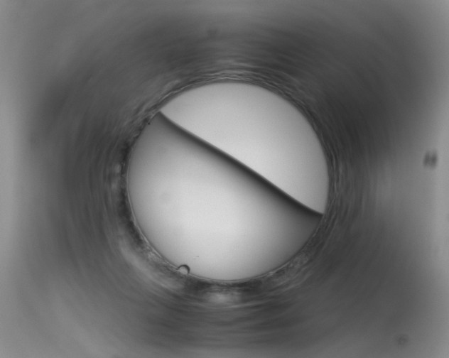 X0000115540263200911061157