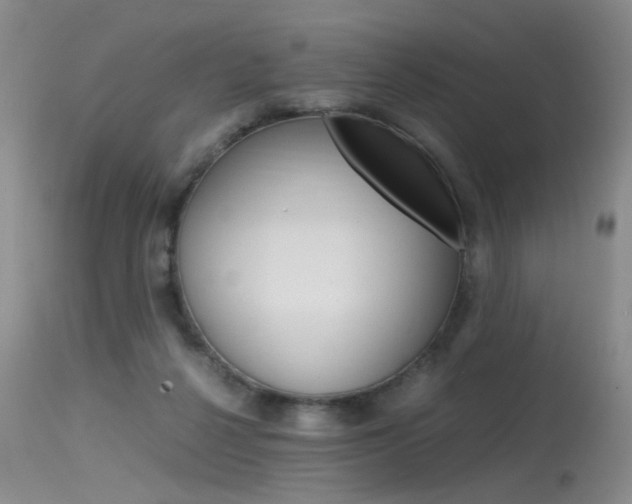 X0000115540264200911061157