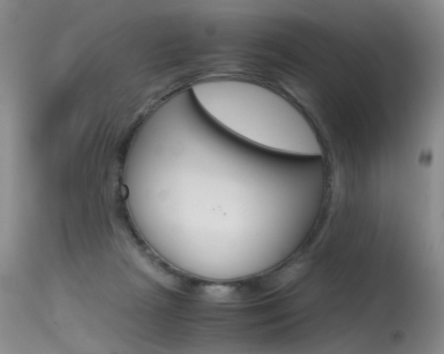 X0000115540265200911061157