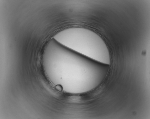 X0000115540266200911061157