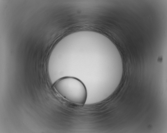 X0000115540268200911061157