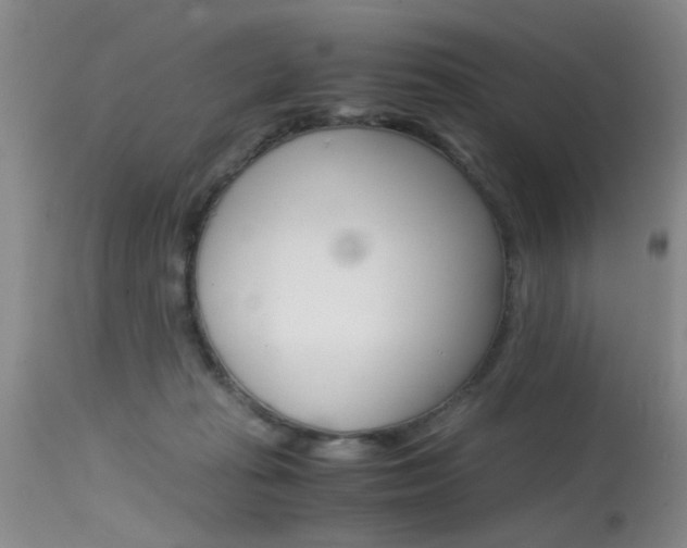 X0000115540269200911061157