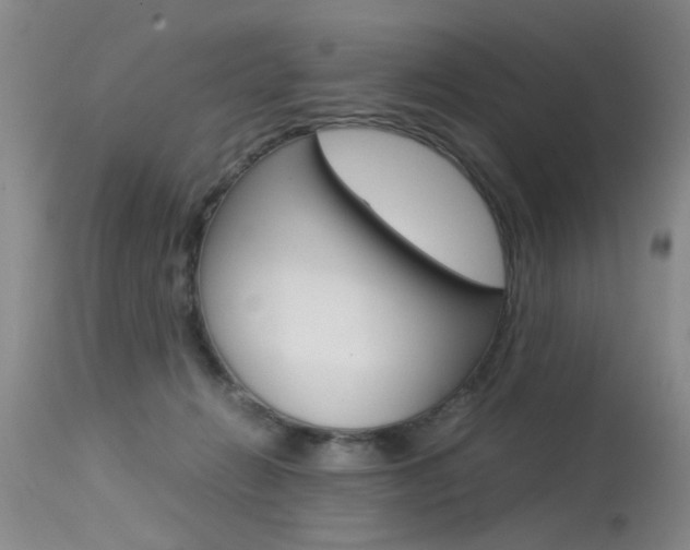 X0000115540270200911061157