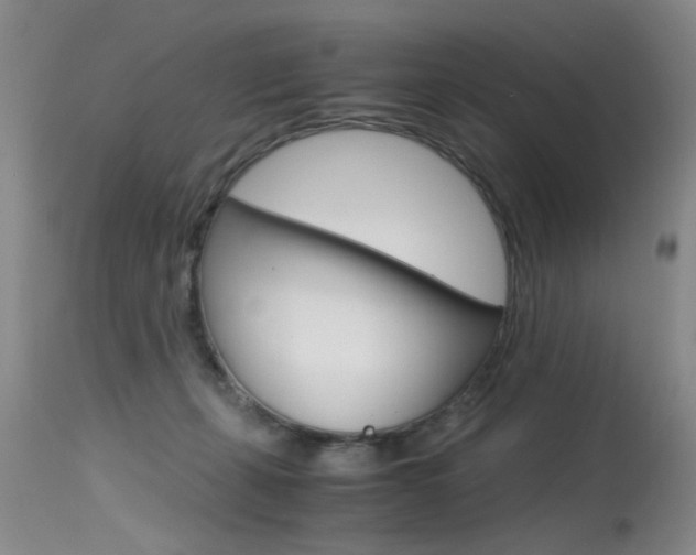 X0000115540271200911061157