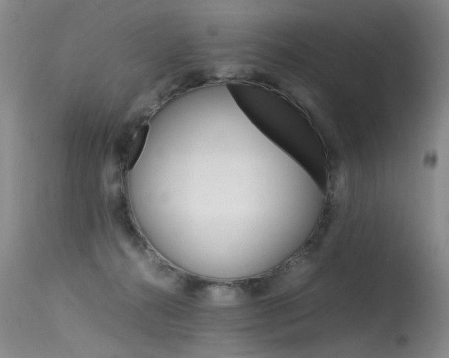 X0000115540272200911061157