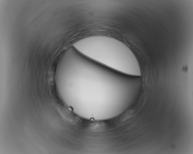 X0000115540274200911061157