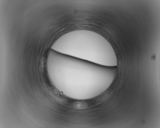 X0000115540275200911061157