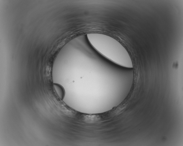 X0000115540281200911061157