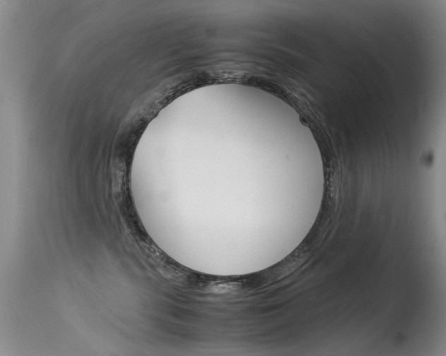 X0000115540283200911061157