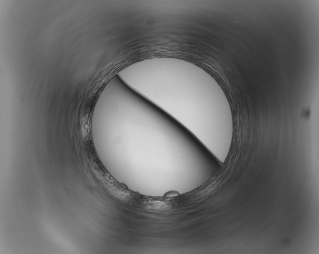 X0000115540285200911061157