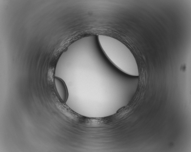 X0000115540286200911061157