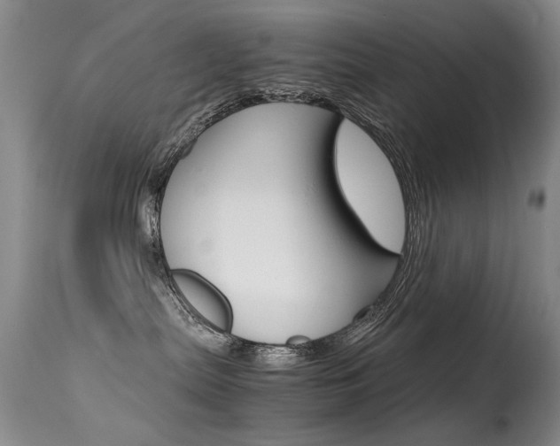 X0000115540287200911061157