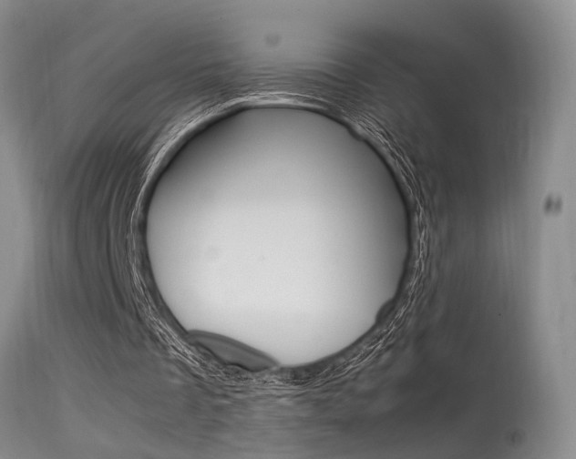 X0000115540289200911061156