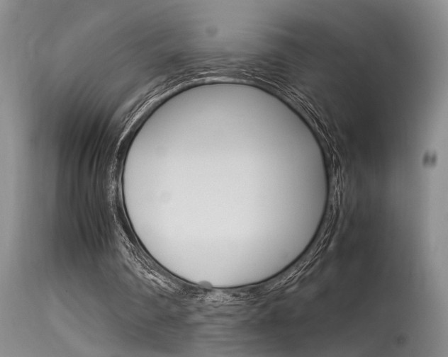 X0000115540290200911061156