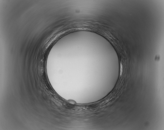 X0000115540291200911061156