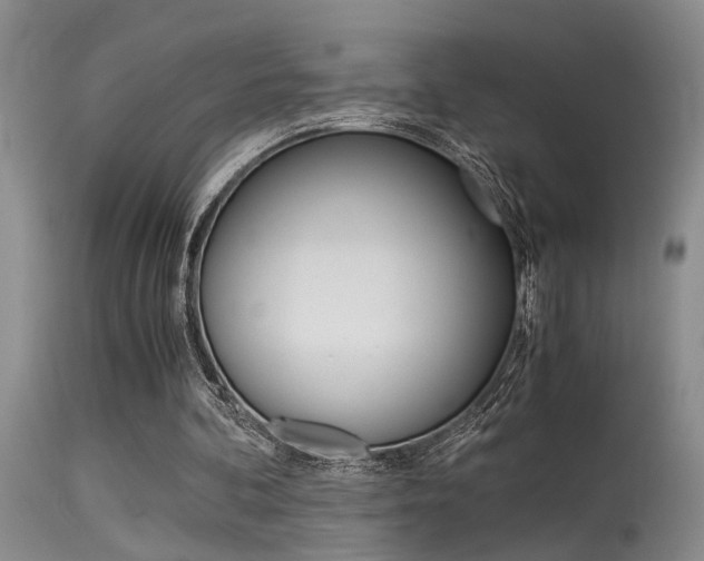 X0000115540292200911061156