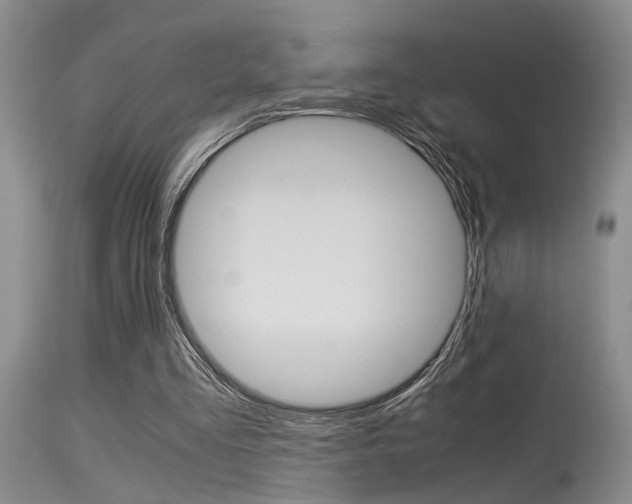 X0000115540293200911061156