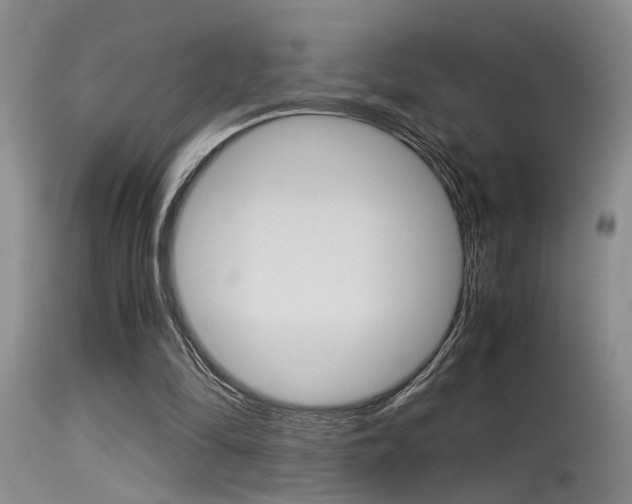 X0000115540294200911061156