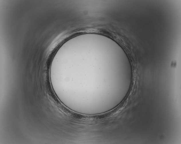 X0000115540295200911061156