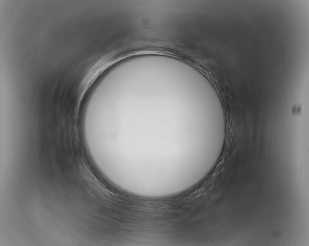 X0000115540296200911061156