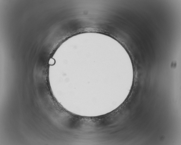 X0000115540297200911061156